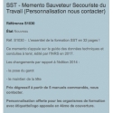 SST - Sauveteur - Secouriste du Travail - S1030