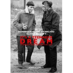 It's a teenager dream - Itinéraire d’un ingénieur du son